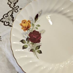 Gorgeous Set of 4 dinner plates by Myott.